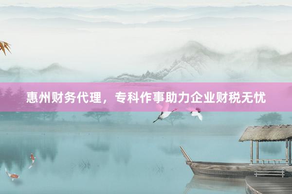 惠州财务代理，专科作事助力企业财税无忧