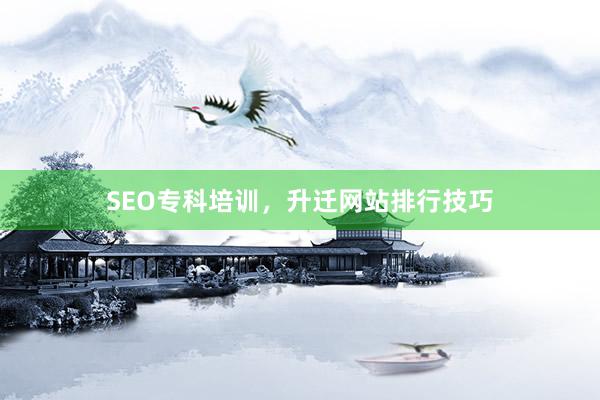 SEO专科培训，升迁网站排行技巧