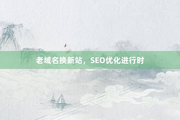 老域名换新站，SEO优化进行时